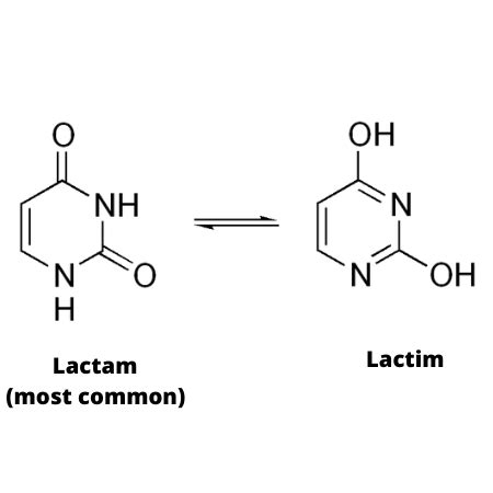 uracil meaning in hindi|Uracil (यूरेसिल) Meaning In English .